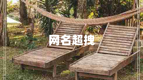 網(wǎng)名超拽