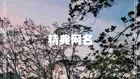精典網(wǎng)名