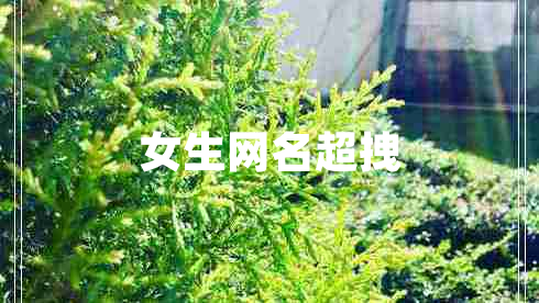 女生網(wǎng)名超拽