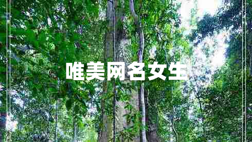 唯美網(wǎng)名女生