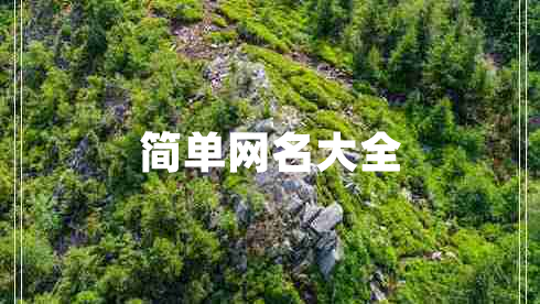 簡單網(wǎng)名大全