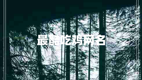 最酷吃雞網(wǎng)名