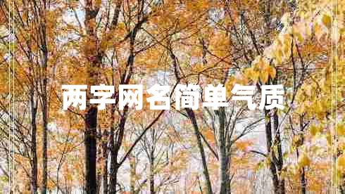 兩字網(wǎng)名簡單氣質(zhì)