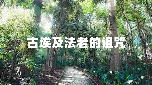 古埃及法老的詛咒