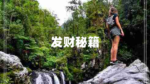 發(fā)財(cái)秘籍