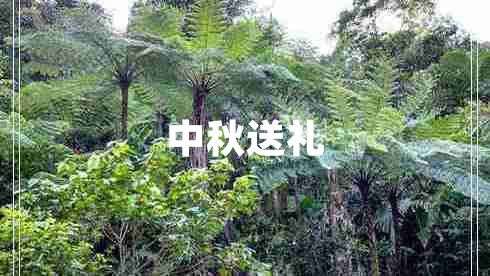 中秋送禮 中秋送禮