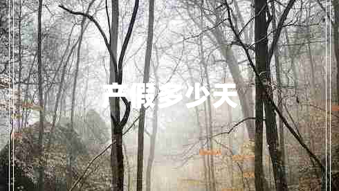 產(chǎn)假多少天 產(chǎn)假多少天