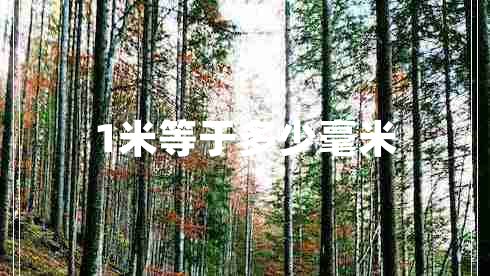 1米等于多少毫米 1米等于多少毫米