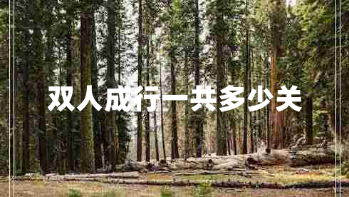 雙人成行一共多少關(guān)