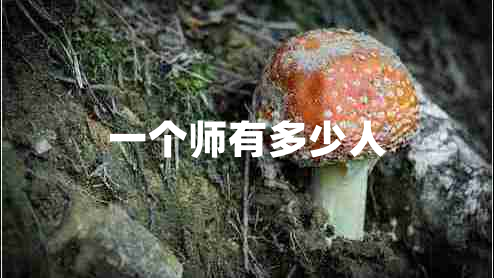 一個(gè)師有多少人