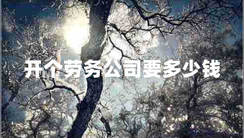 開個(gè)勞務(wù)公司要多少錢