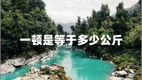 一頓是等于多少公斤