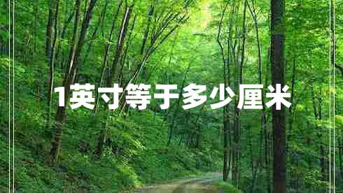 1英寸等于多少厘米