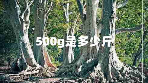 500g是多少斤 500g是多少斤
