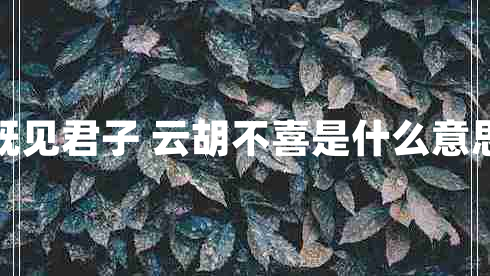 既見君子 云胡不喜是什么意思