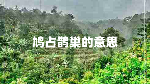 鳩占鵲巢的意思