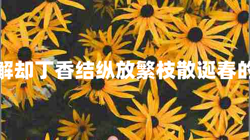 殷勤解卻丁香結(jié)縱放繁枝散誕春的意思 殷勤解卻丁香結(jié)縱放繁枝散誕春的意思