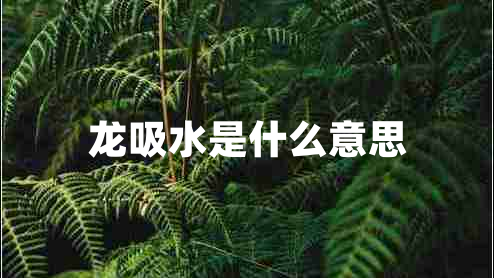 龍吸水是什么意思