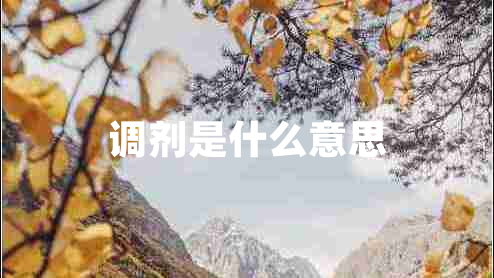 調(diào)劑是什么意思