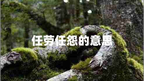 任勞任怨的意思