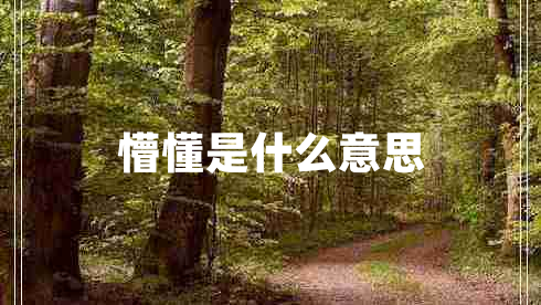 懵懂是什么意思