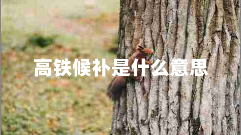 高鐵候補(bǔ)是什么意思