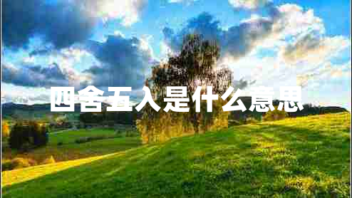 四舍五入是什么意思 四舍五入是什么意思