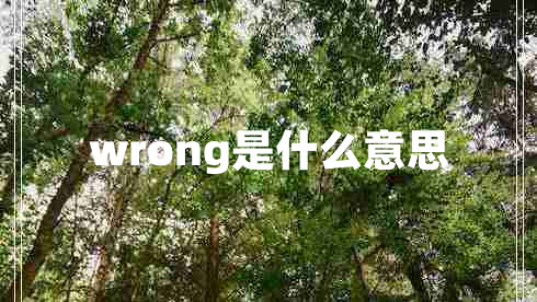wrong是什么意思
