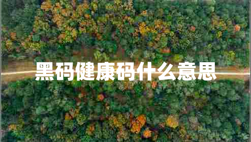 黑碼健康碼什么意思 黑碼健康碼什么意思