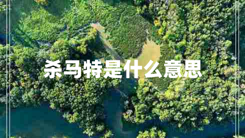 殺馬特是什么意思