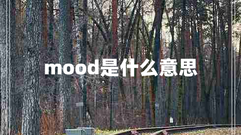 mood是什么意思