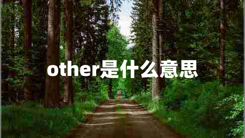 other是什么意思