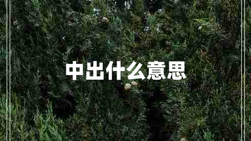 中出什么意思 中出什么意思