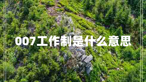 007工作制是什么意思