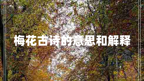 梅花古詩(shī)的意思和解釋