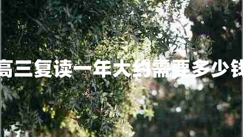 高三復讀一年大約需要多少錢 高三復讀一年大約需要多少錢