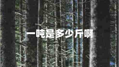 一噸是多少斤啊