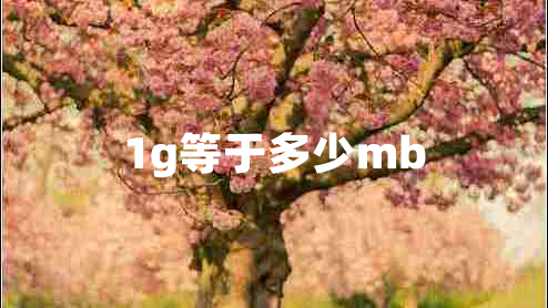 1g等于多少mb 1g等于多少mb