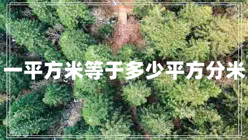 一平方米等于多少平方分米