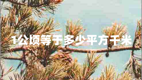 1公頃等于多少平方千米