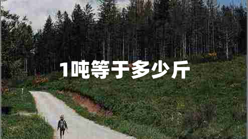 1噸等于多少斤