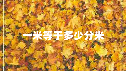 一米等于多少分米