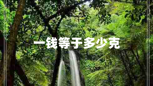 一錢等于多少克