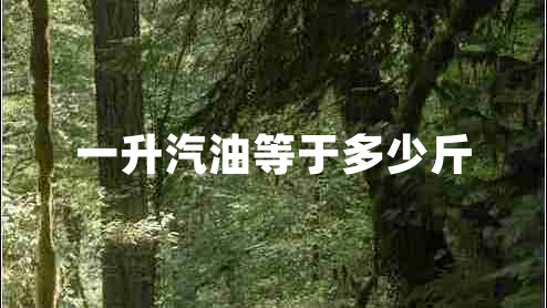 一升汽油等于多少斤 一升汽油等于多少斤