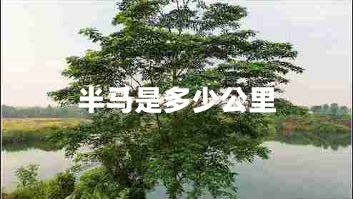半馬是多少公里