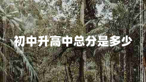 初中升高中總分是多少