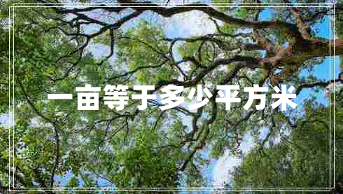 一畝等于多少平方米