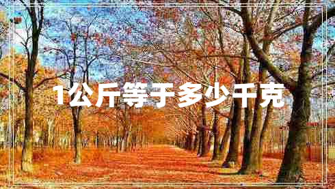 1公斤等于多少千克 1公斤等于多少千克