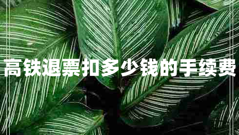 高鐵退票扣多少錢的手續(xù)費