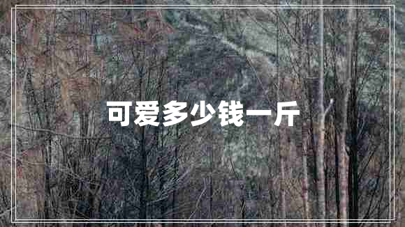 可愛多少錢一斤